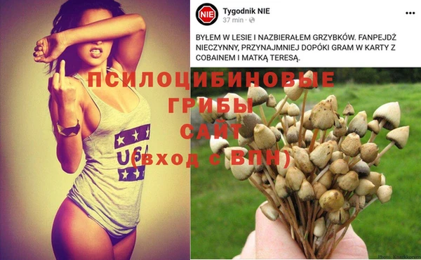 амф Усинск