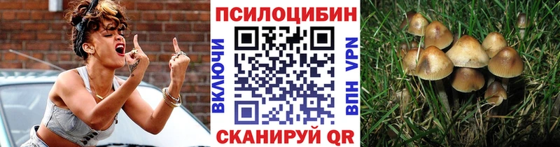 кракен Сковородино Псилоцибиновые грибы прущие грибы
